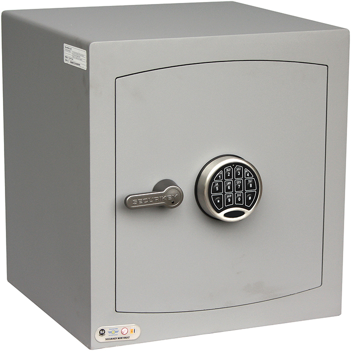 Mini Vault Silver 3E